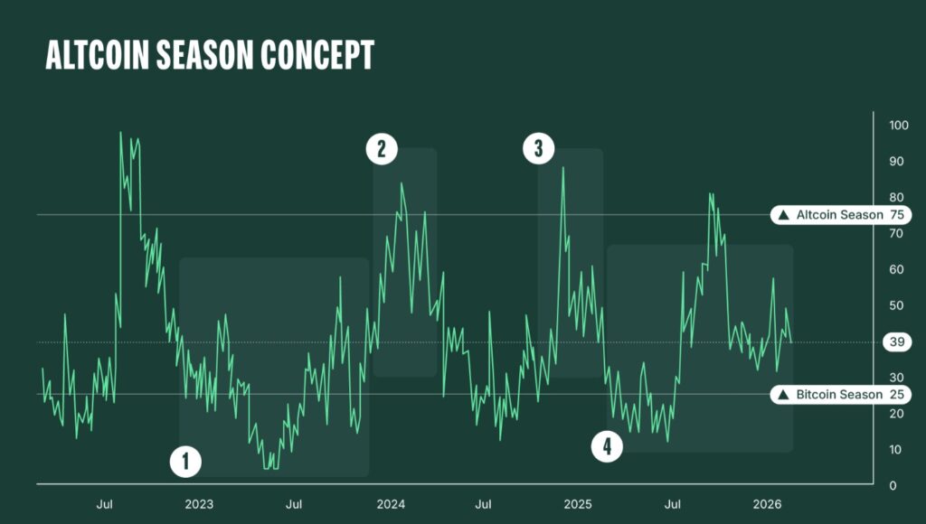 Emerging Altcoins That Could Shape the Next Bull Market