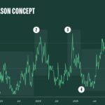 Emerging Altcoins That Could Shape the Next Bull Market