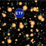 How Bitcoin ETFs Are Reshaping Digital Asset Investing